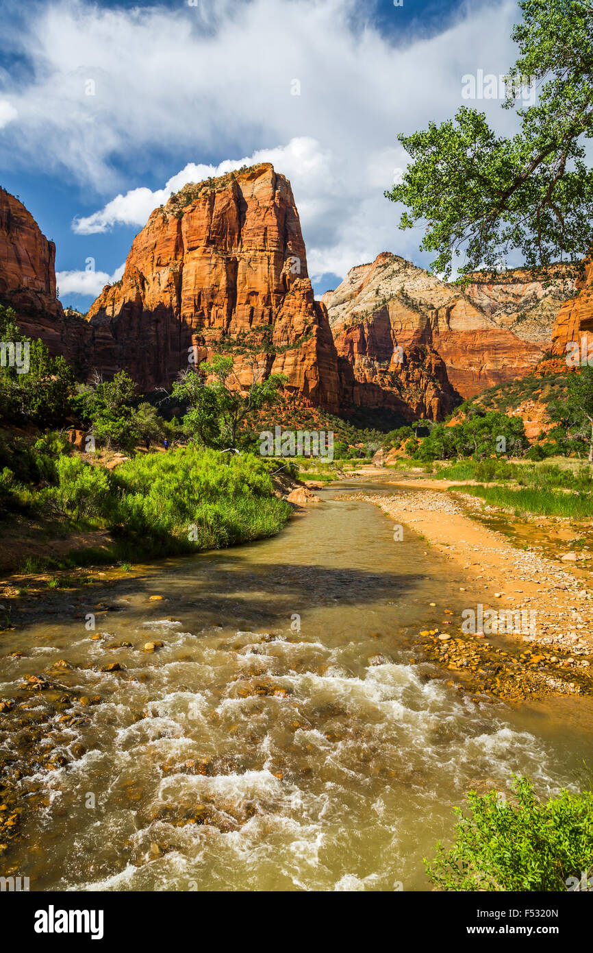 Signora montagna nel Parco Nazionale di Zion, Utah, Stati Uniti d'America. Foto Stock