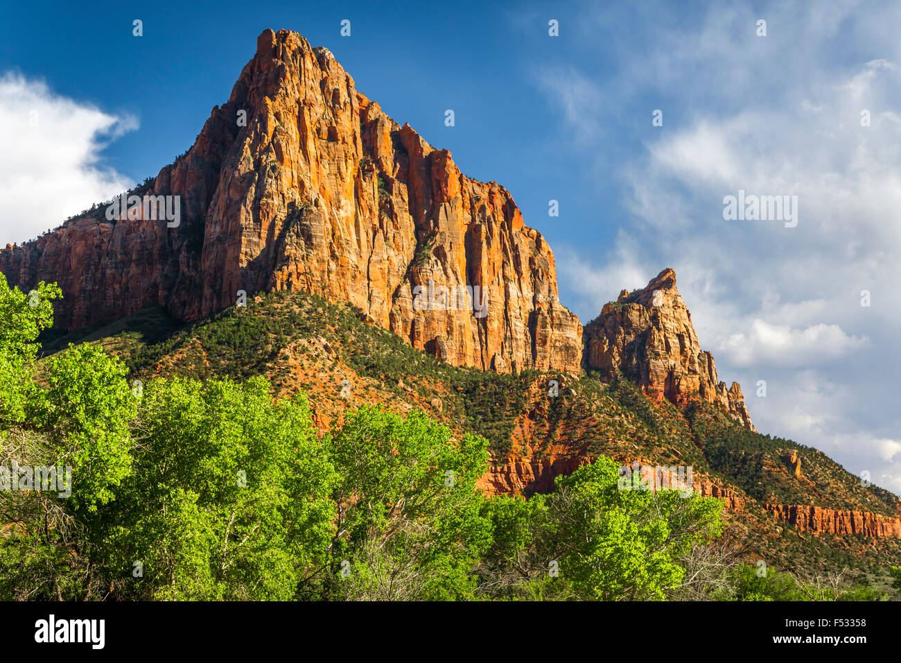 La Sentinella di montagna del Parco Nazionale Zion, Utah, Stati Uniti d'America. Foto Stock
