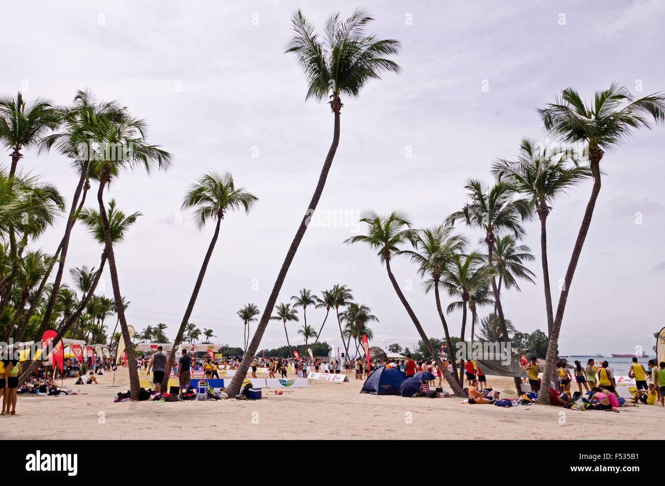 Singapore, plam-rigato beach sull'Isola di Sentosa Foto Stock