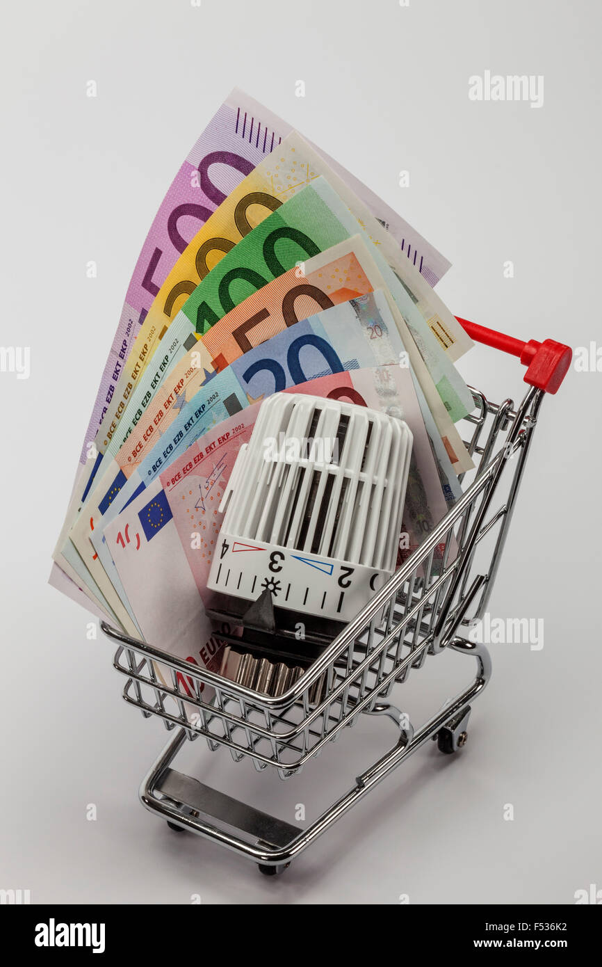 Carrello della spesa, le banconote in euro, riscaldamento del termostato, immagine simbolica, costi energetici di acquisto, Foto Stock
