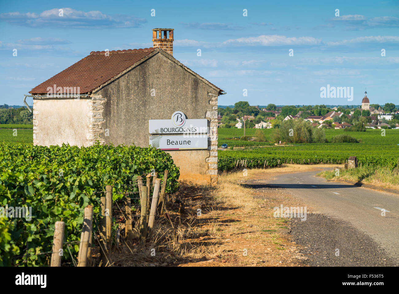 Strada segno pommard,Cote de Beaune, Borgogna, in Francia, Unione Europea, Europa Foto Stock
