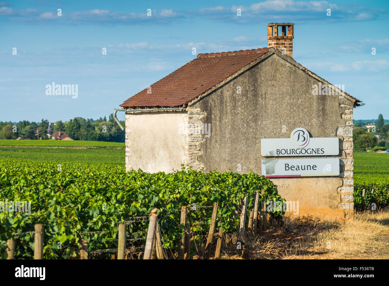 Strada segno pommard,Cote de Beaune, Borgogna, in Francia, Unione Europea, Europa Foto Stock