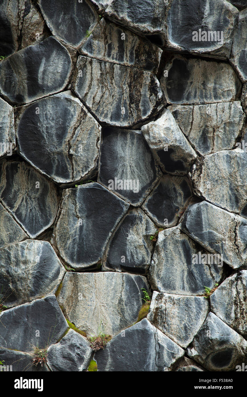 Schema a nido d'ape di rocce basaltiche a Hljodaklettar, Jokulsargljufur, Nordhurland Eystra, Islanda. Foto Stock