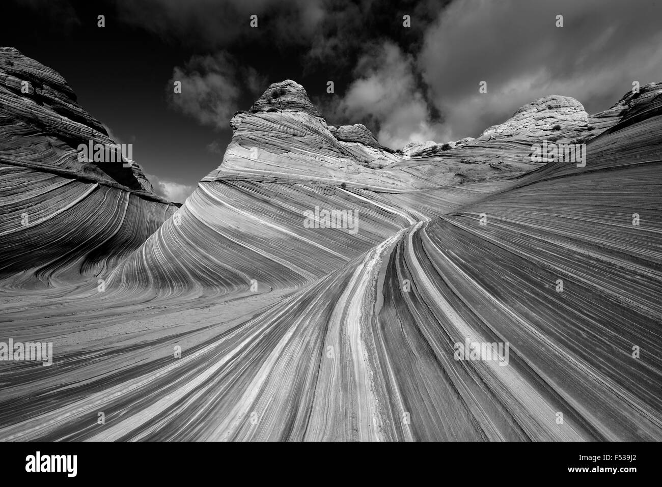 L'onda Coyote Buttes Nord in Vermiglio scogliere NM, Arizona, USA, America del Nord Foto Stock