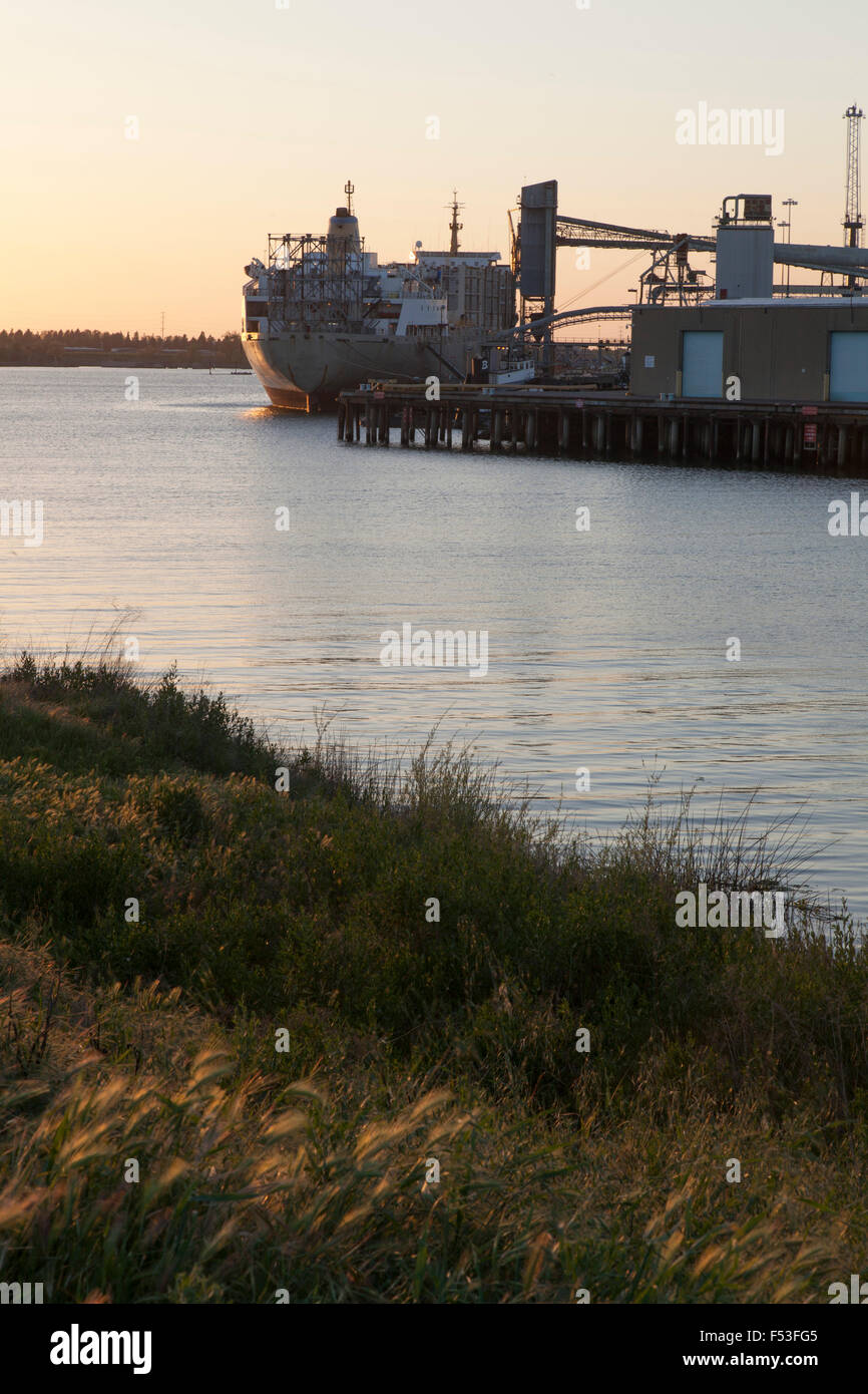Rinfusa nave ormeggiata nel porto di Sacramento al crepuscolo Foto Stock