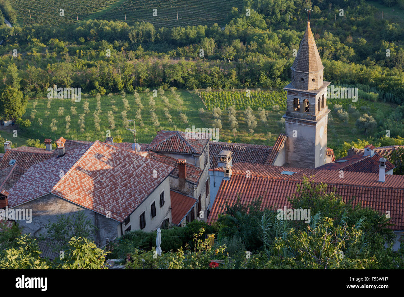 Villaggio idilliaco con chiesa veneziana tower, dal di sopra, vigneto dietro, Montona, Istria, Croazia Foto Stock