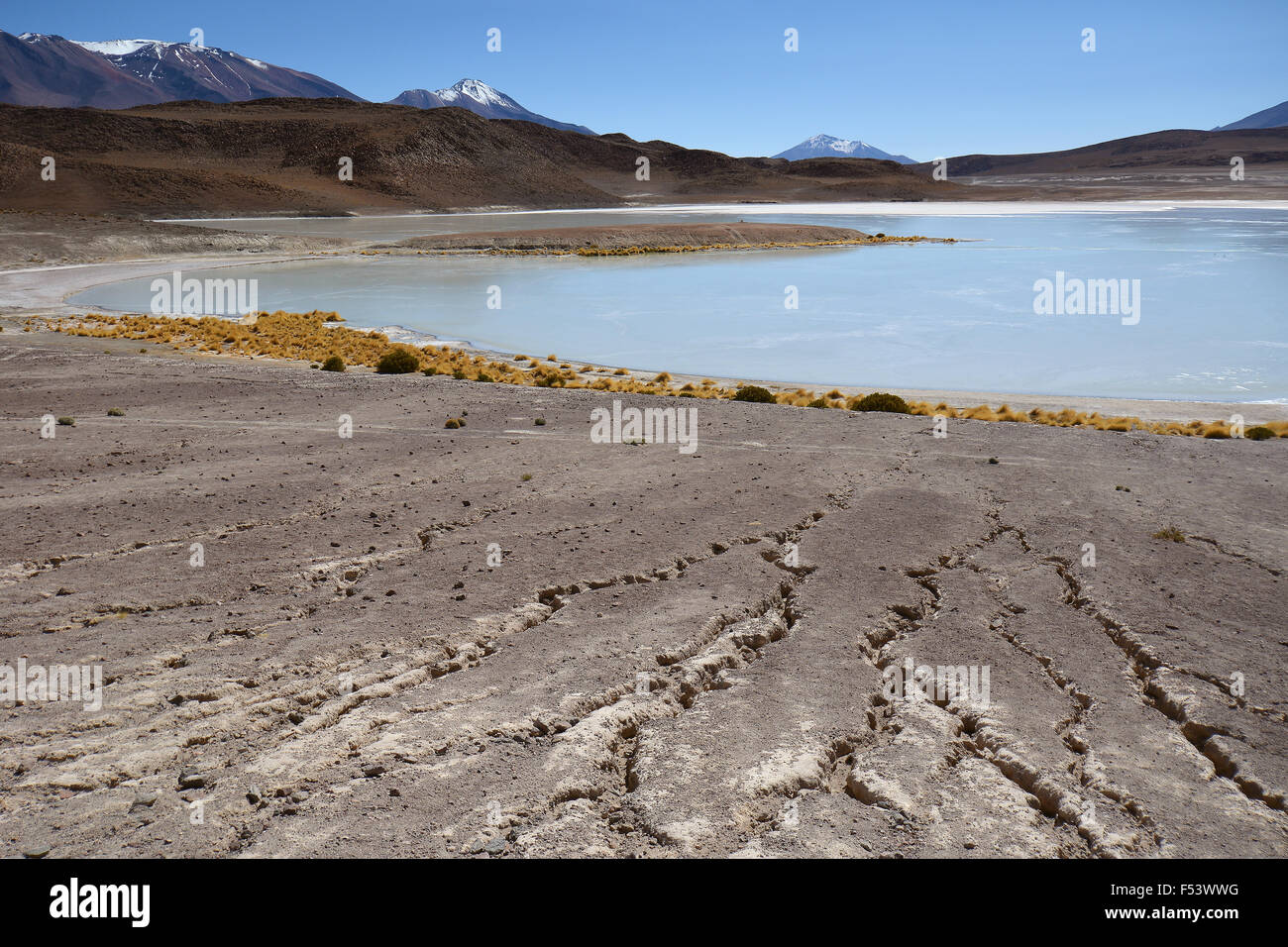 Laguna hedionda con strutture di erosione da riva a uyuni, lipez, Bolivia Foto Stock