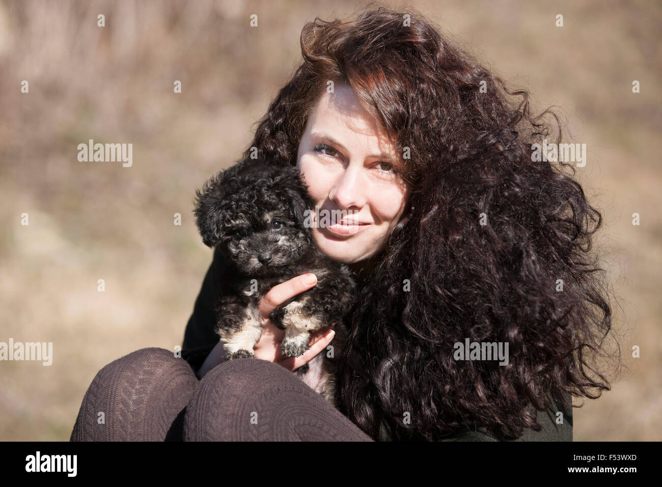 Donna che mantiene barboncino Toy, cucciolo, nero e marrone Foto Stock
