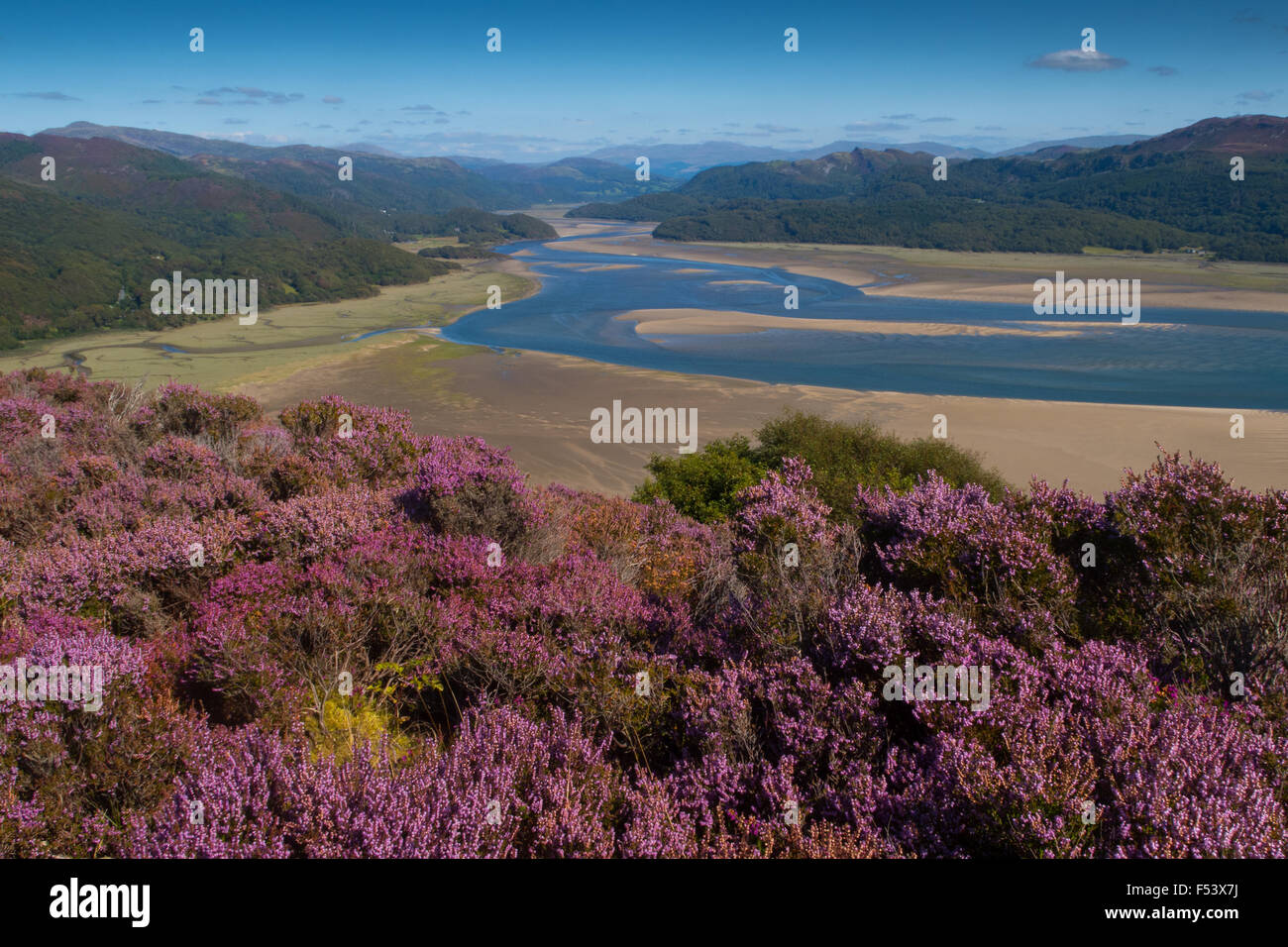 Mawddach estuary, snowdonia Foto Stock