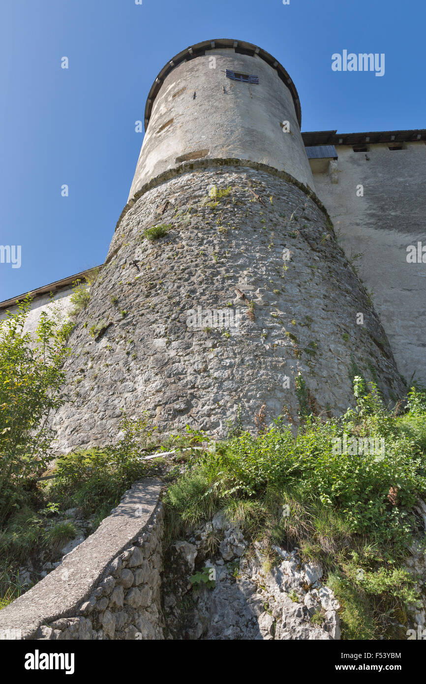 La torre e la parete del castello di Bled, Slovenia Foto Stock