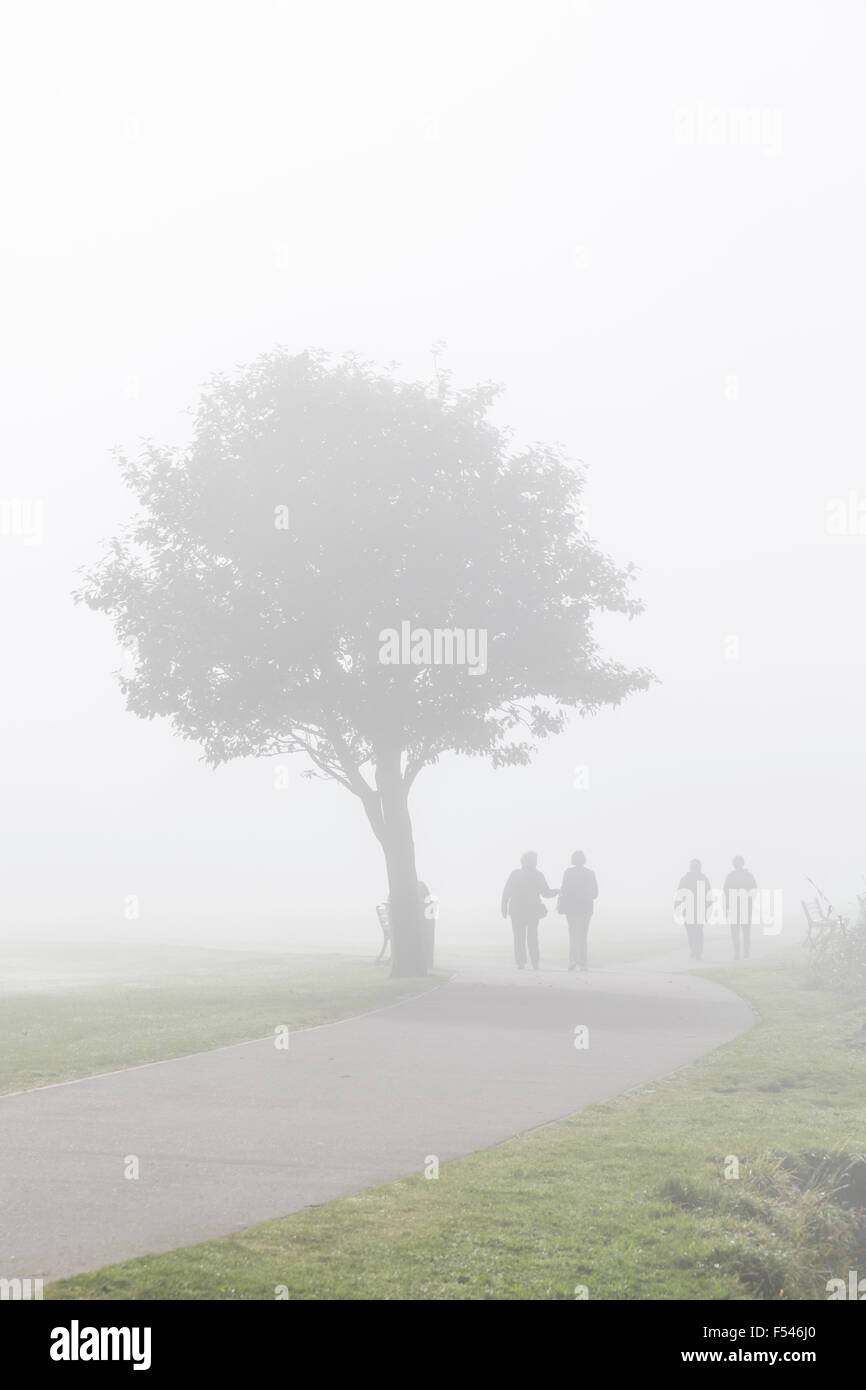 Due coppie che camminano lungo un sentiero nella nebbia, Scozia, Regno Unito Foto Stock