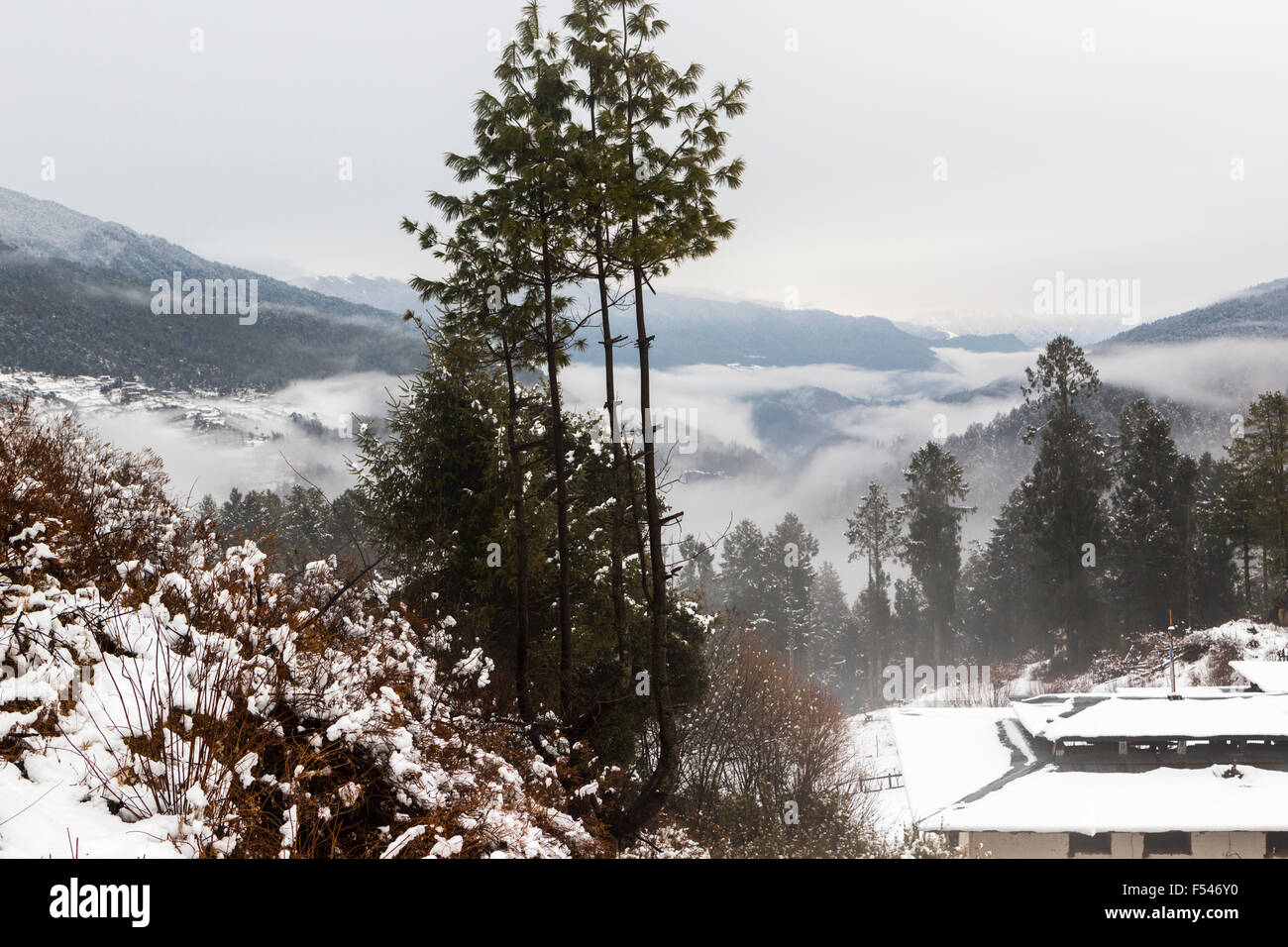 Villaggio Dorikha, Haa Valley, Bhutan Foto Stock