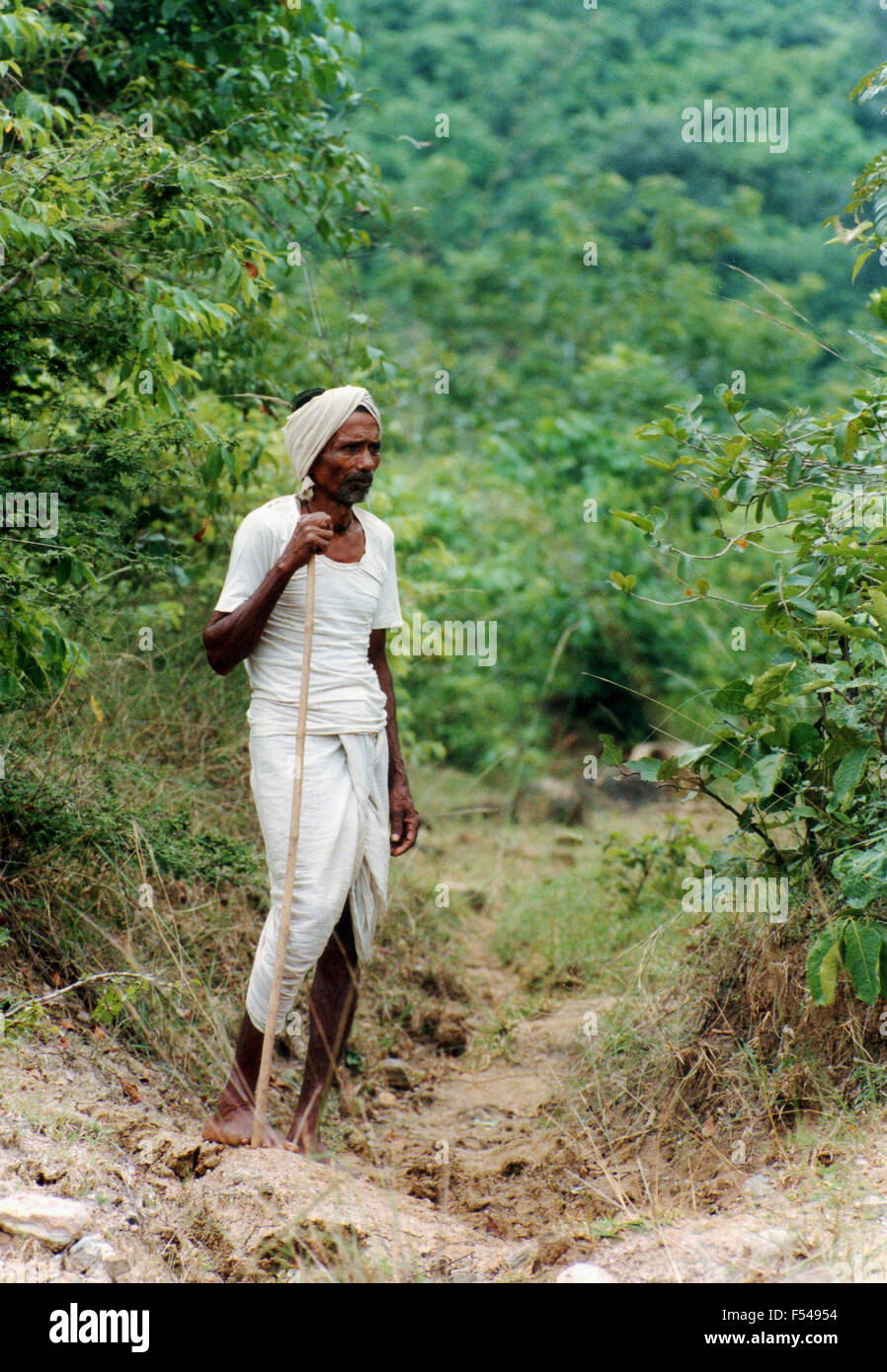 Uomo orgoglioso su un percorso di foresta pluviale area di conservazione in collaborazione con Oxfam dove stanno piantando alberi nello stato di Orissa sulla costa orientale dell'India - 1992 Foto Stock