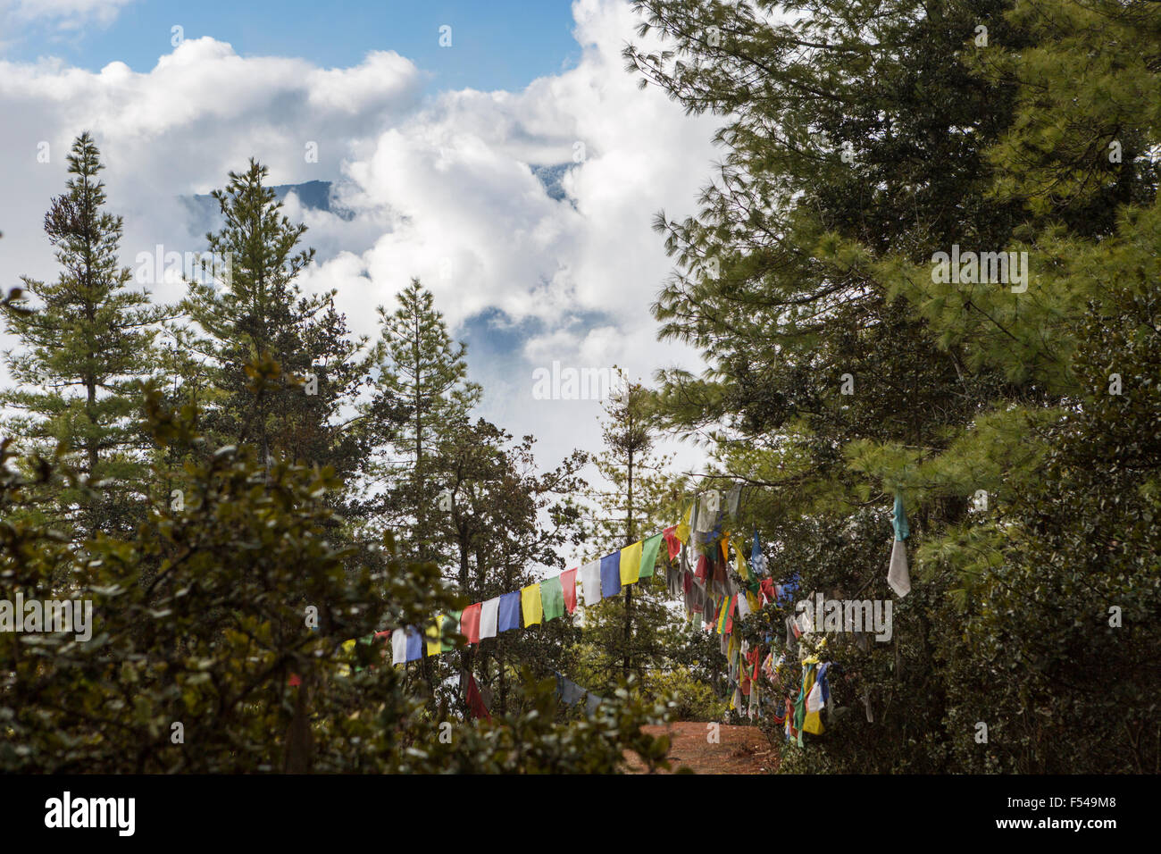 Preghiera multicolori bandiere sul percorso per Tiger's Nest monastero vicino a paro, Bhutan Foto Stock