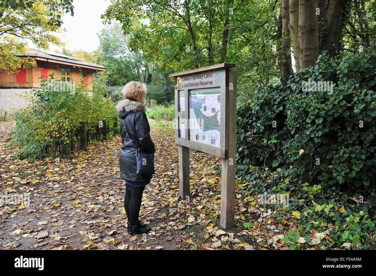 Il premiato Lewes terreni ferroviari natura locale riserva East Sussex Regno Unito Foto Stock