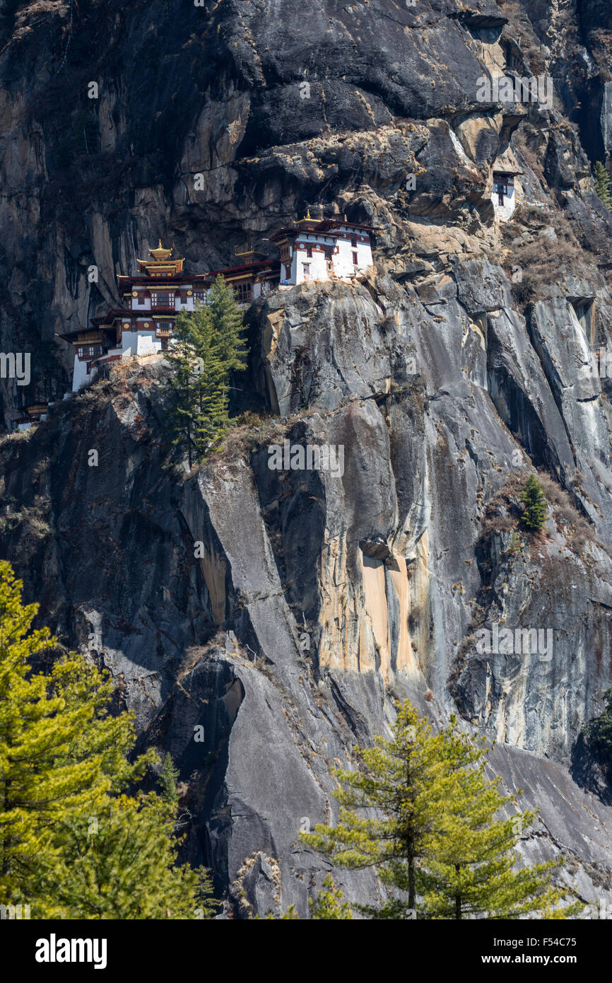 Lunga vista di Tiger's Nest Monastero, vicino a paro, Bhutan Foto Stock