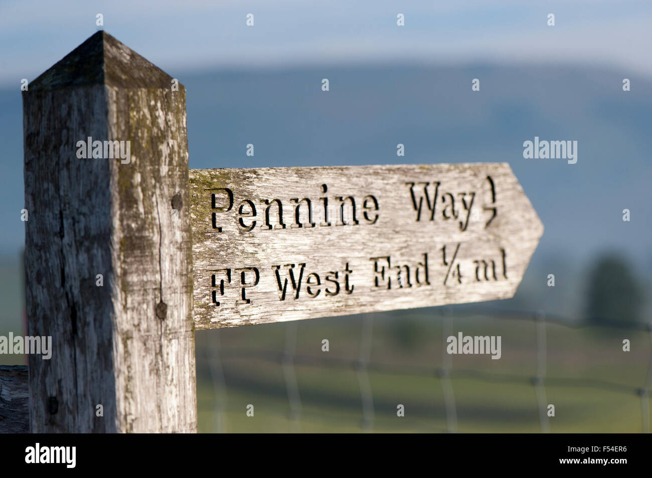 Segno posto vicino Hawes, North Yorkshire, direzione di puntamento della Pennine Way. Regno Unito Foto Stock