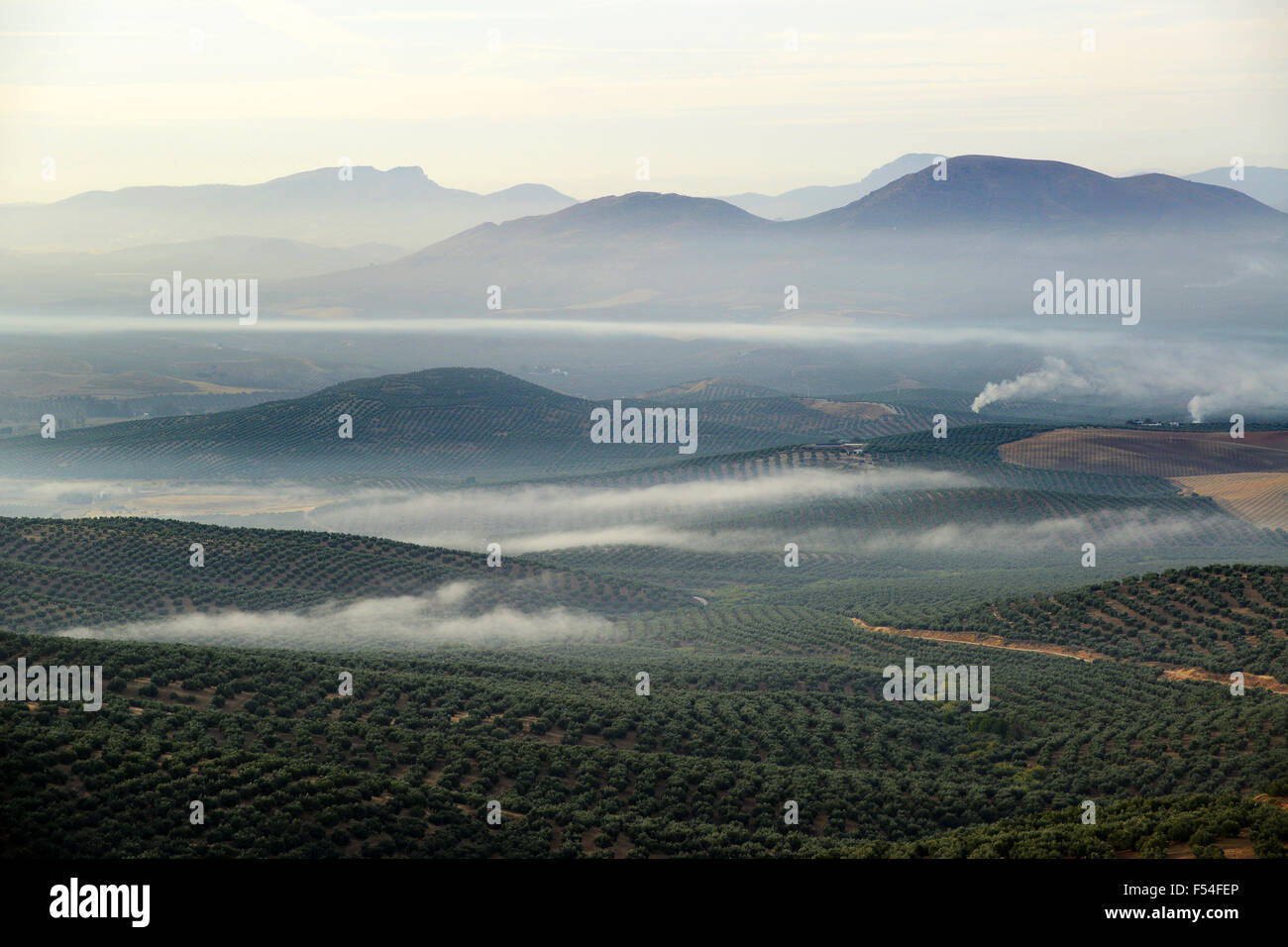 Oliveti e Sierra Magina Parco Naturale da Ubeda in Andalusia Spagna Foto Stock