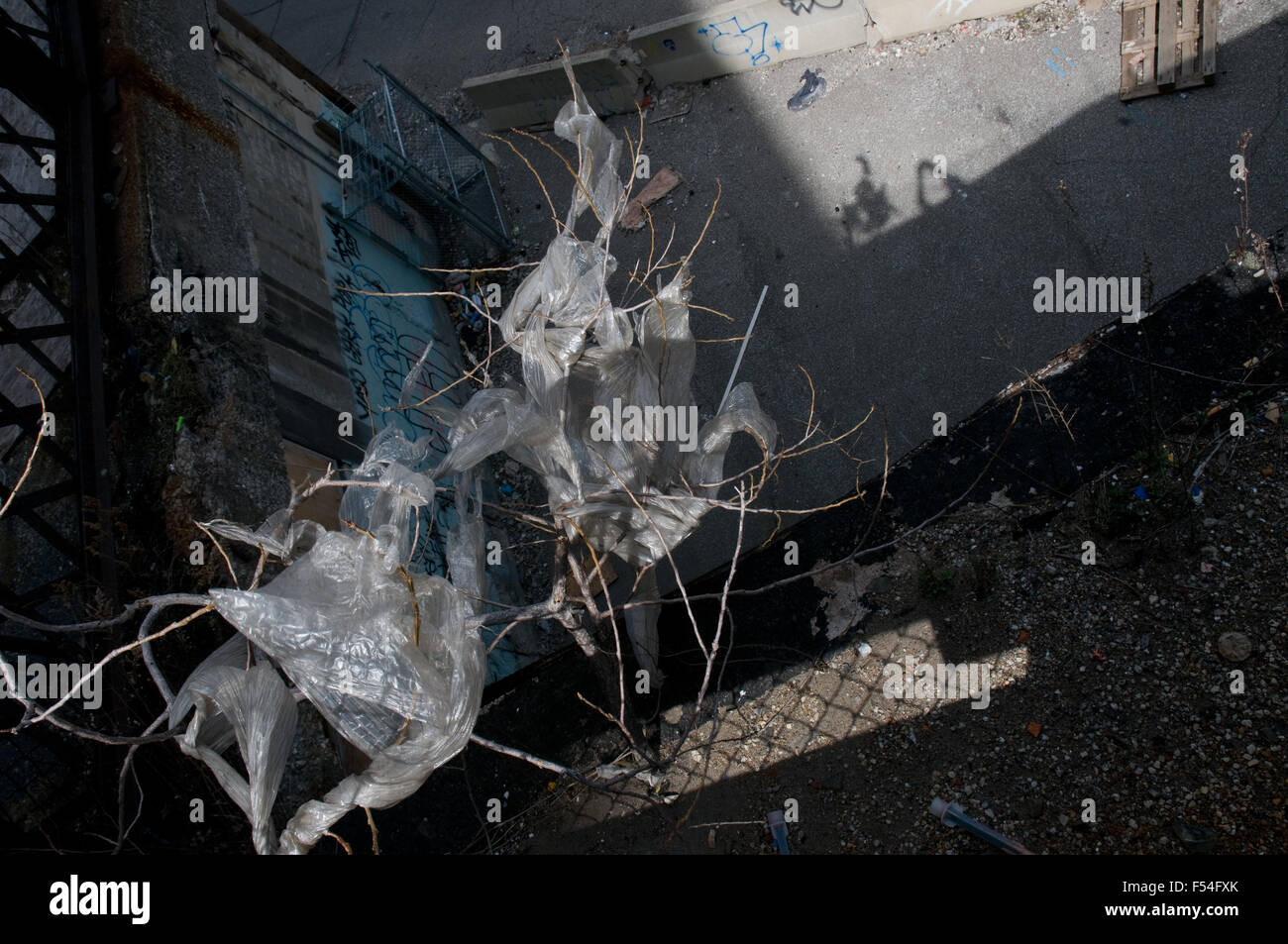 Scartato catturati in plastica in rami di albero. Foto Stock