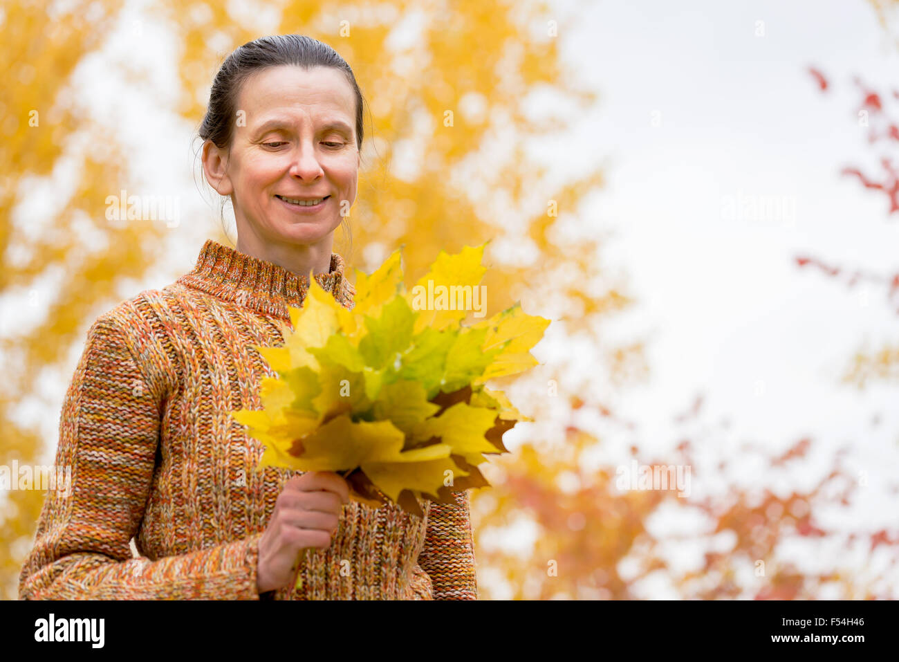 Un sorridente adulto donna caucasica è raccolta giallo foglie di acero in autunno nel parco Foto Stock