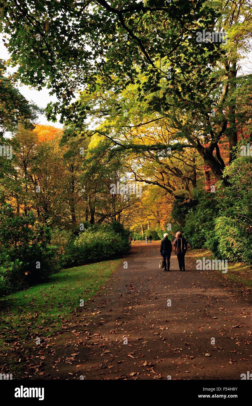 Glasgow, Scotland, Regno Unito. 27 ott 2015. La gente fuori per una passeggiata nel parco in mezzo ai colori dell'autunno. Credito: Tony Clerkson/Alamy Live News Foto Stock