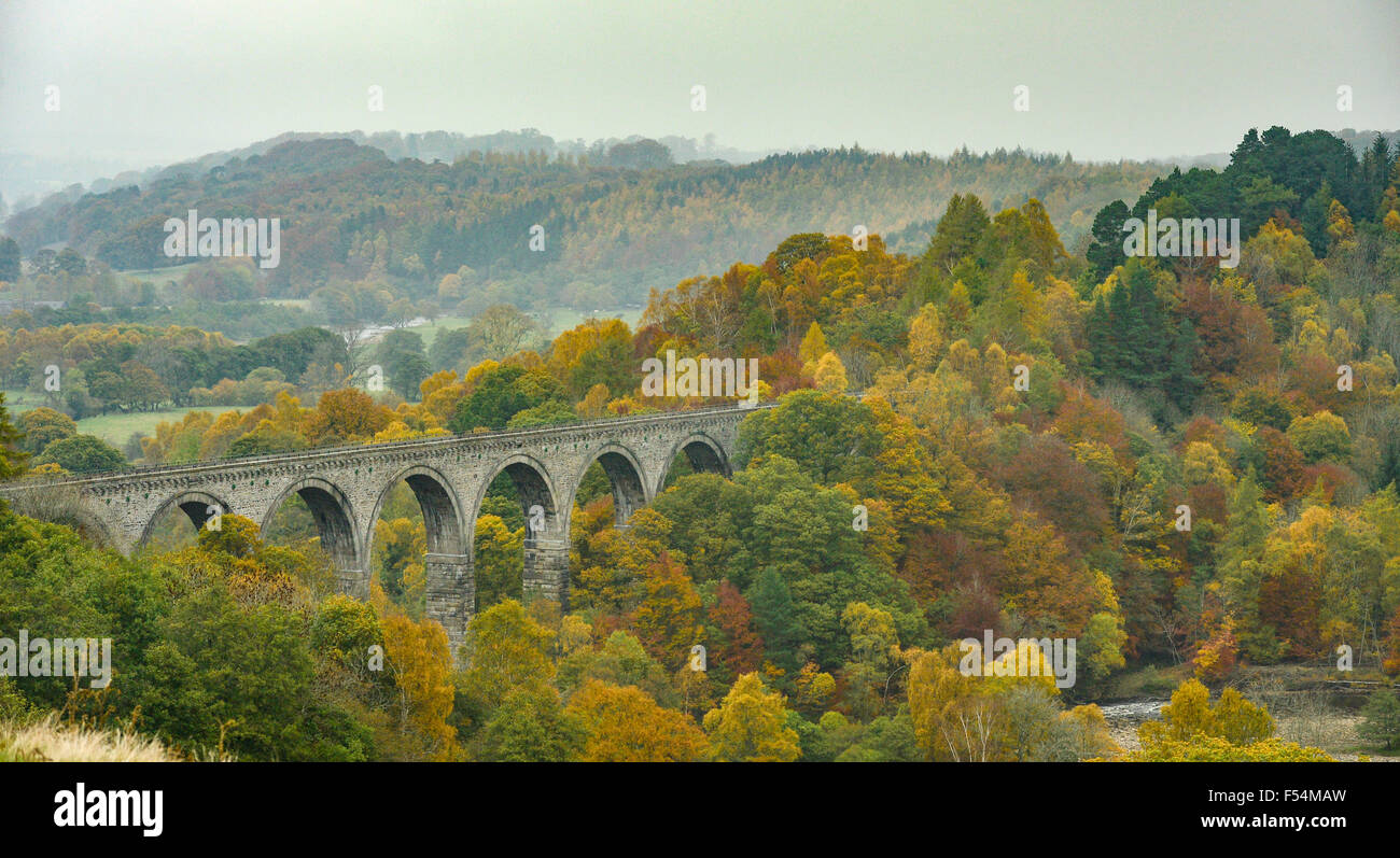 Tynedale, Northumberland, Regno Unito. 27 ott 2015. I colori autunnali circondano Lambley Viaduct in Sud Tynedale, Northumberland: 27 ottobre 2015 Credit: STUART WALKER/Alamy Live News Foto Stock