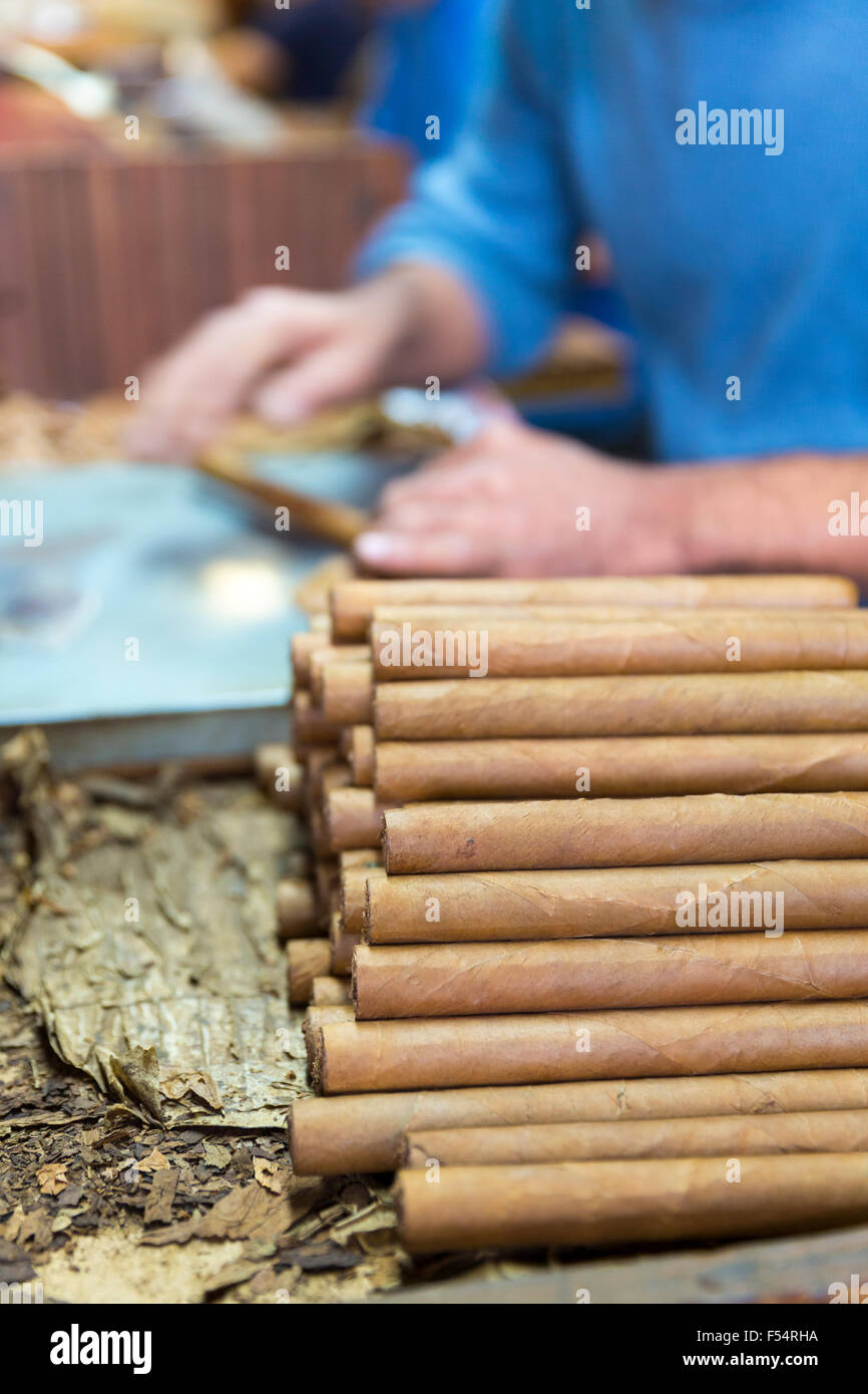 Rulli rendendo arrotolato a mano dei sigari lungo il tabacco in foglia in fabbrica di sigari, Decatur Street, Quartiere Francese di New Orleans, STATI UNITI D'AMERICA Foto Stock