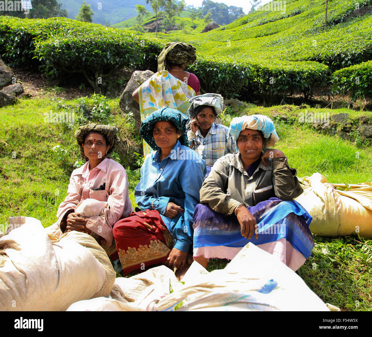 Il gruppo di donne lavoratori del tè Foto Stock