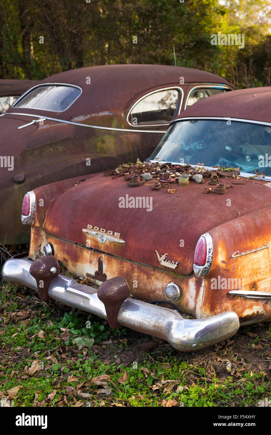 Dodge V Otto Coronet auto con abbandonato vecchio arrugginito automobili americane gas guzzlers, Mississippi, Louisiana USA Foto Stock