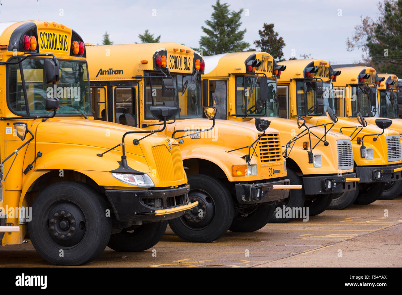 Tradizionale giallo brillante scuolabus parcheggiato in una fila, STATI UNITI D'AMERICA Foto Stock