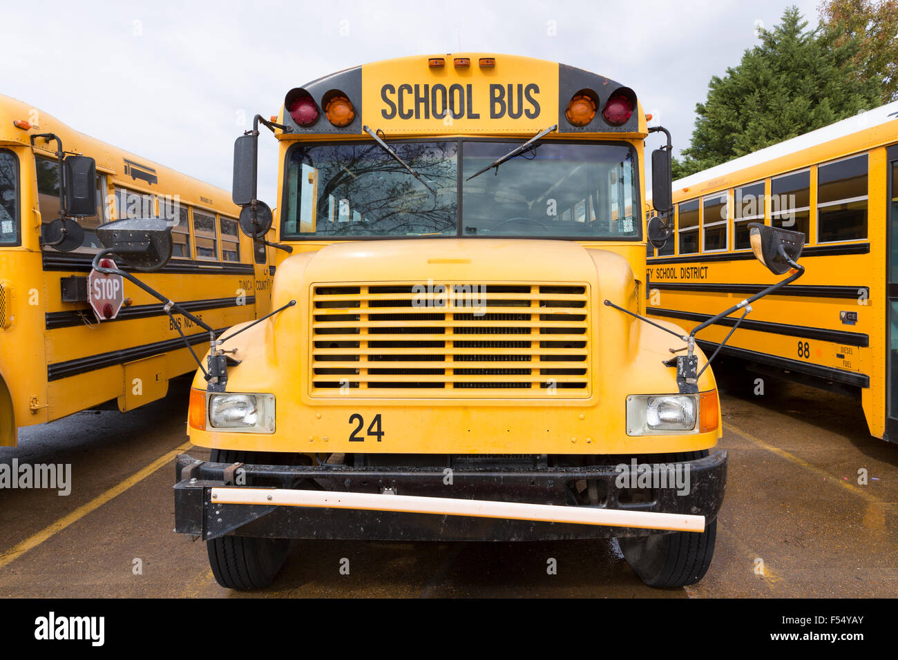 Tradizionale giallo brillante scuolabus parcheggiato in una fila, STATI UNITI D'AMERICA Foto Stock