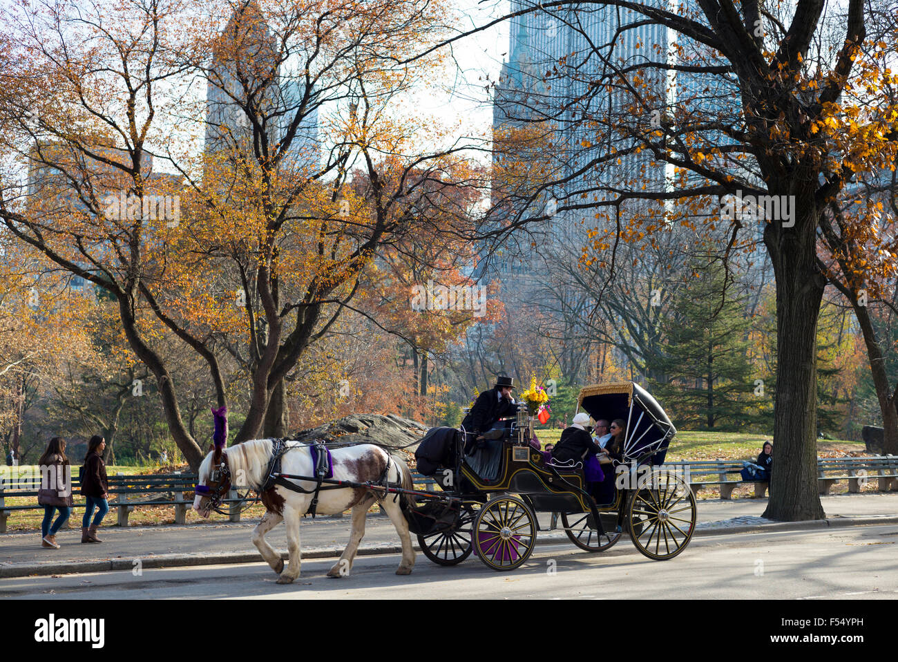 I turisti tenendo tradizionale cavallo e carrozza in inverno nel Central Park di New York, Stati Uniti d'America Foto Stock