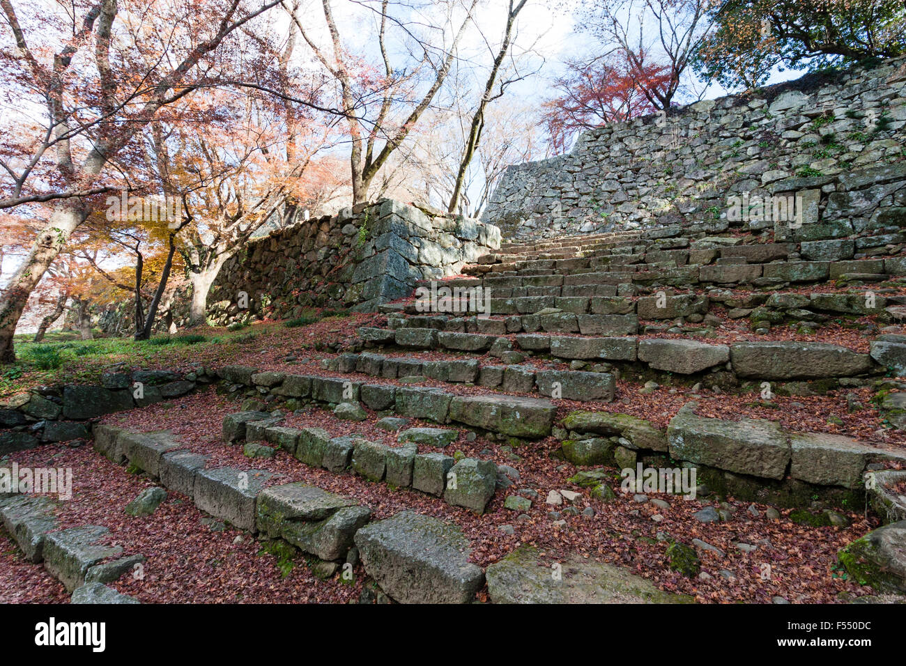 Giappone, Tsuyama castello, Kakuzan-jo. Ishigaki muro di pietra e ampi gradini di pietra su uno dei cancelli in rovina nel castello. Foto Stock