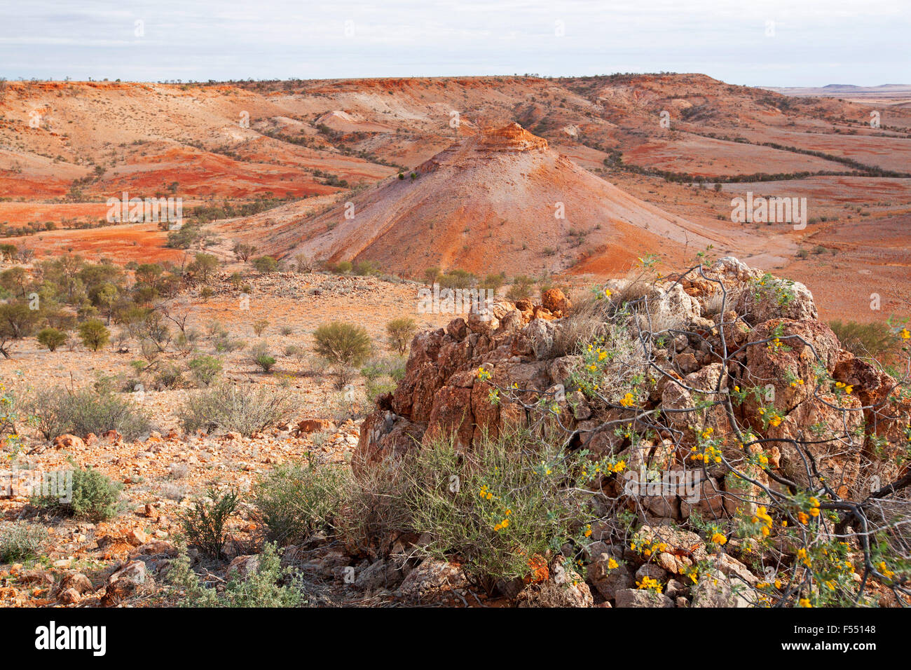 Australian Outback il paesaggio dalla collina lookout, vetta conica salendo dalla valle orlati con rocce brulle colline, fiori selvatici in primo piano Foto Stock