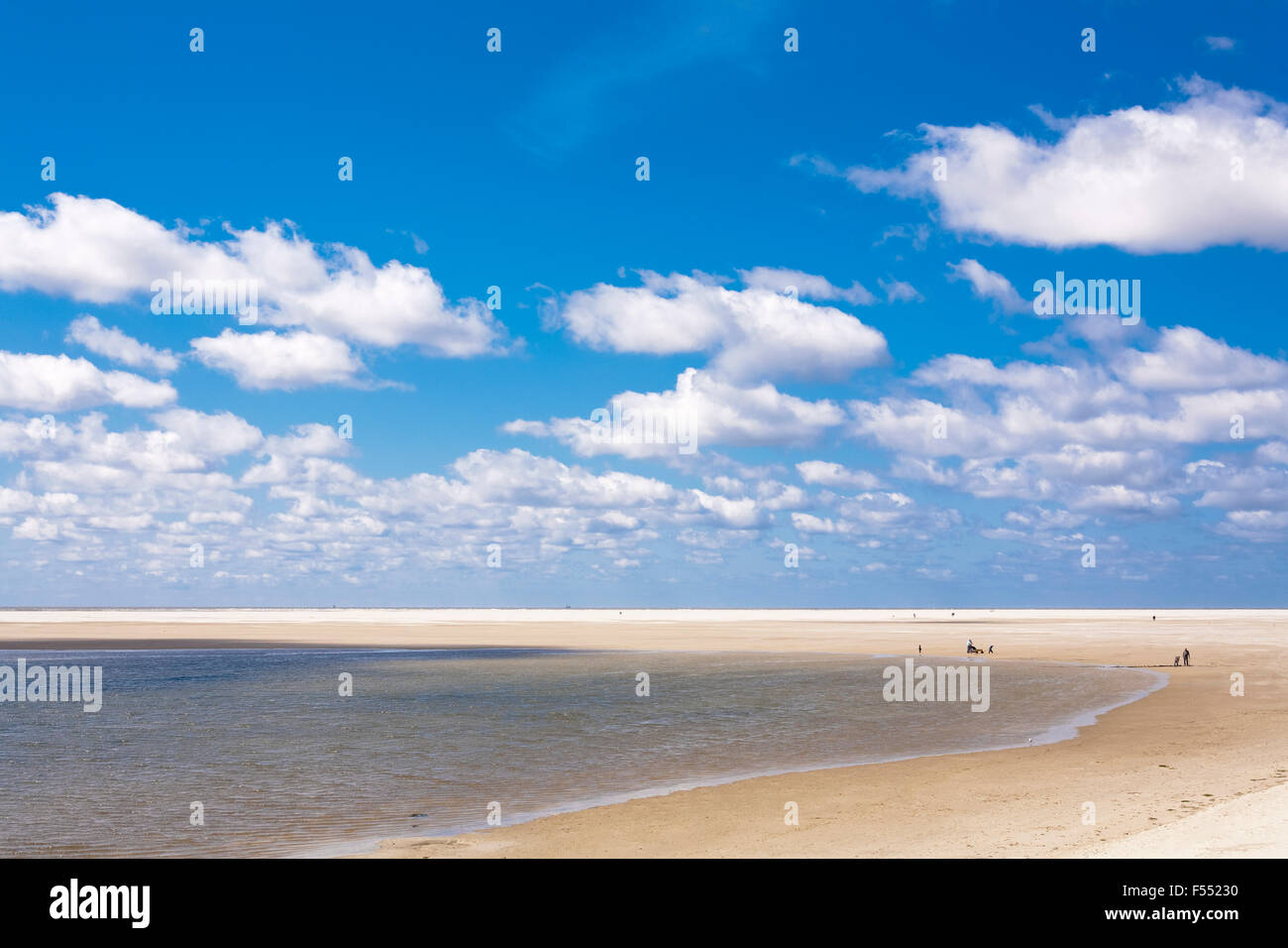 DEU, Germania, Schleswig-Holstein, Mare del Nord, Amrum island, la spiaggia vicino Kniepsand Wittduen. DEU, Deutschland, Schleswig-Hols Foto Stock