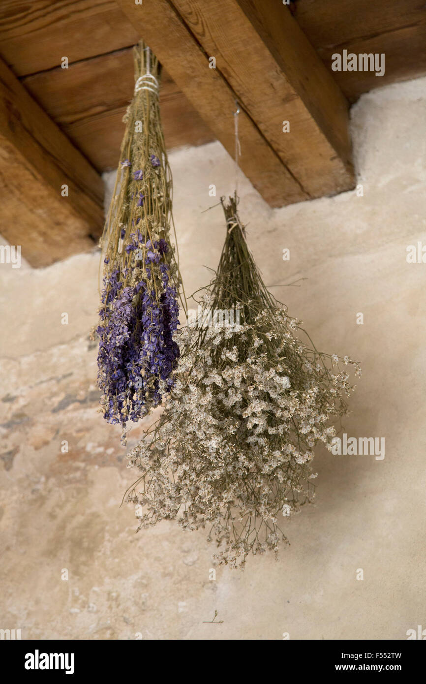 Basso angolo vista di fiori appesi dal fascio del tetto Foto Stock