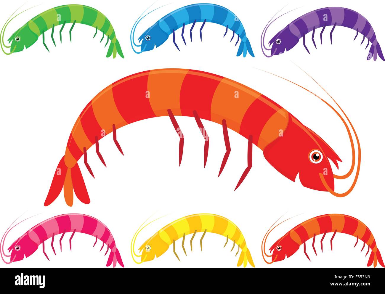 Vector cartoon scampi o gamberi in una varietà di colori brillanti su uno sfondo bianco. Illustrazione Vettoriale