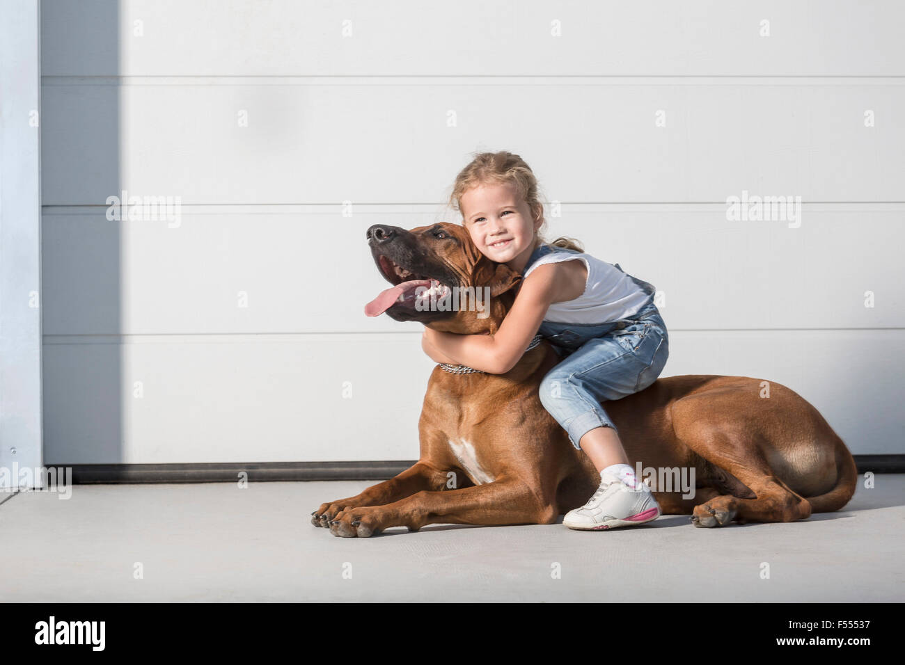 Ritratto di carino ragazza seduta sul cane all'aperto Foto Stock