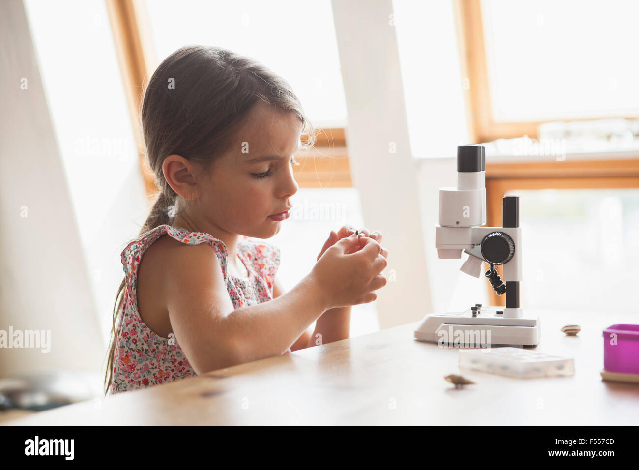 Curioso ragazza guardando il campione con il microscopio sulla tavola a casa Foto Stock