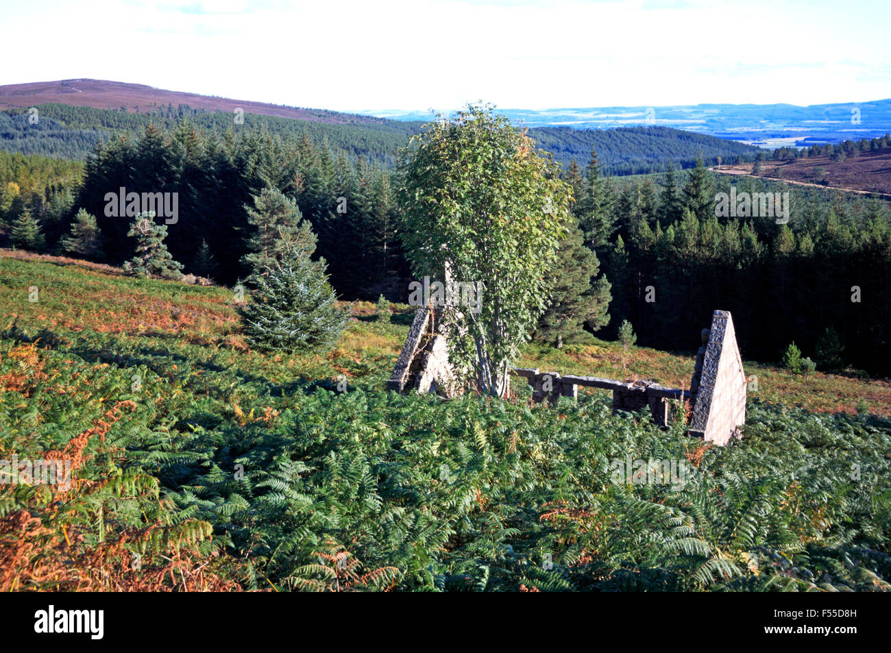 Un cottage in rovina su pendii in salita alla collina di tariffa vicino a Banchory, Aberdeenshire, Scotland, Regno Unito. Foto Stock