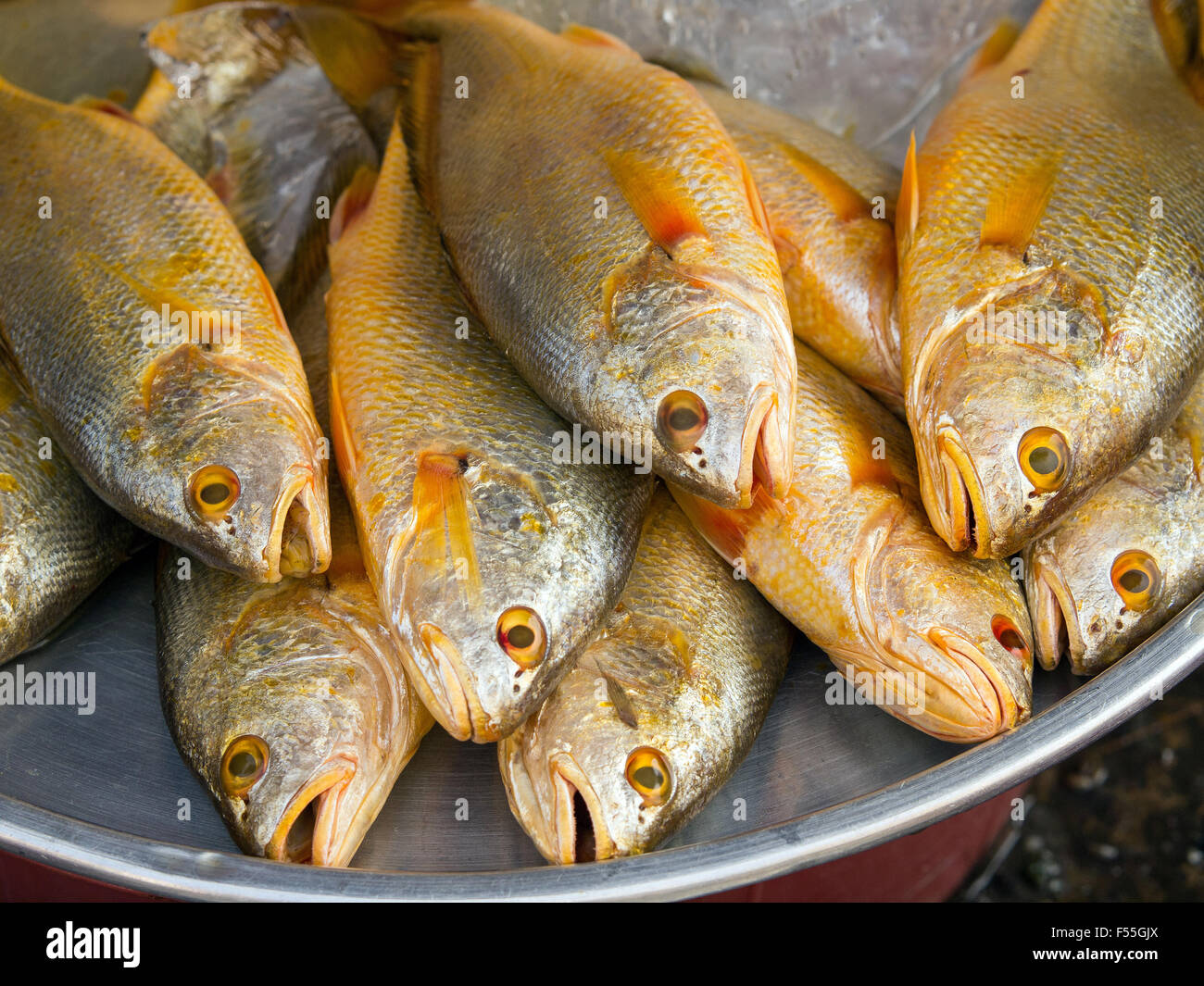 Pesce fresco nel mercato ,Vietnam Foto Stock