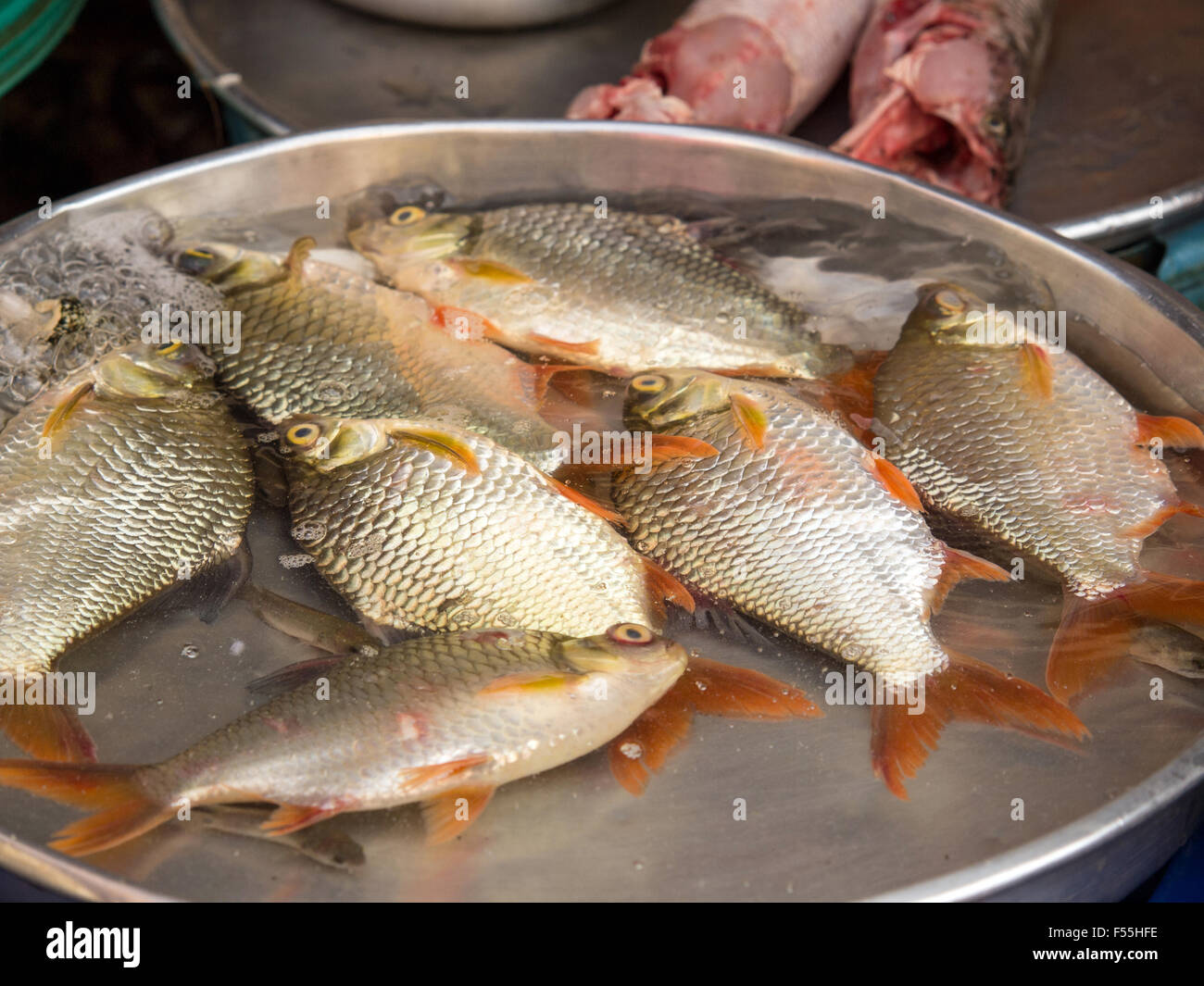 Pesce fresco nel mercato ,Vietnam Foto Stock