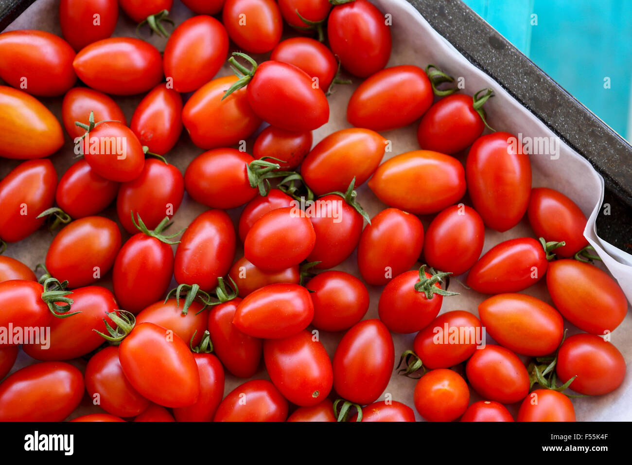 Pomodori ciliegini. Questa immagine ha una restrizione per la concessione di licenze in Israele Foto Stock
