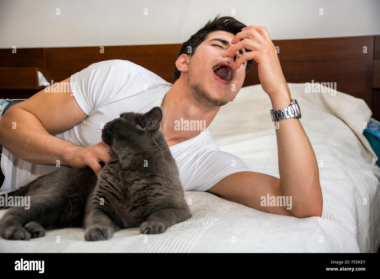 Giovane uomo rilassante sul letto Petting grigio gatto peloso e starnuti da allergie - Uomo sdraiato con Pet Cat e avente R allergica Foto Stock