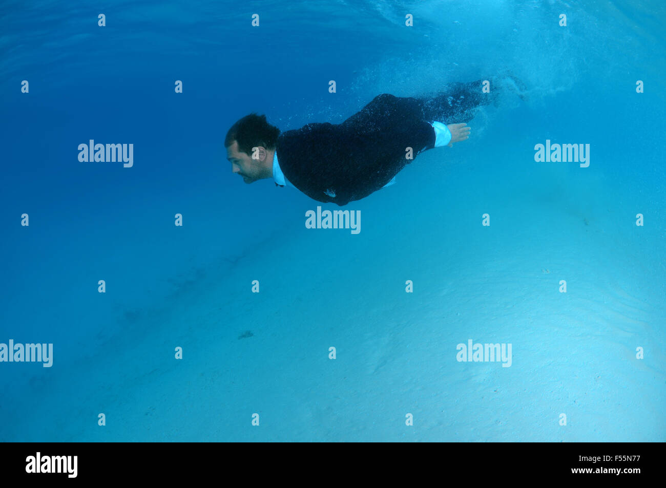 Lo sposo in una tuta immersioni nella subacquea, Oceano Indiano, Maldive Foto Stock