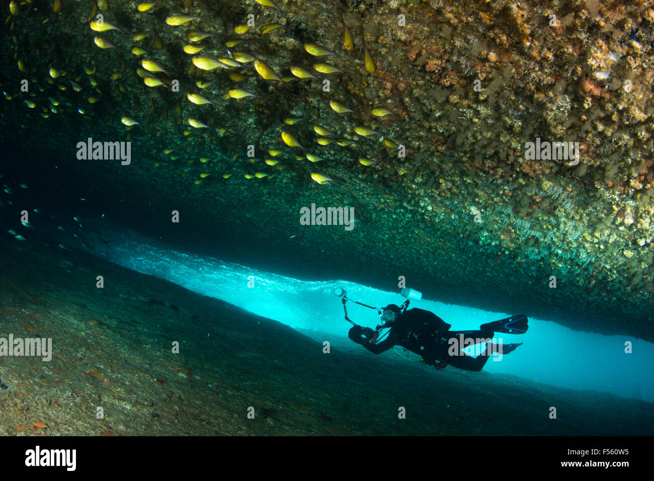 Scuba Diver fotografo grotta sottomarina a Alcatrazes Isola, shore di Sao Paulo, Brasile. Foto Stock