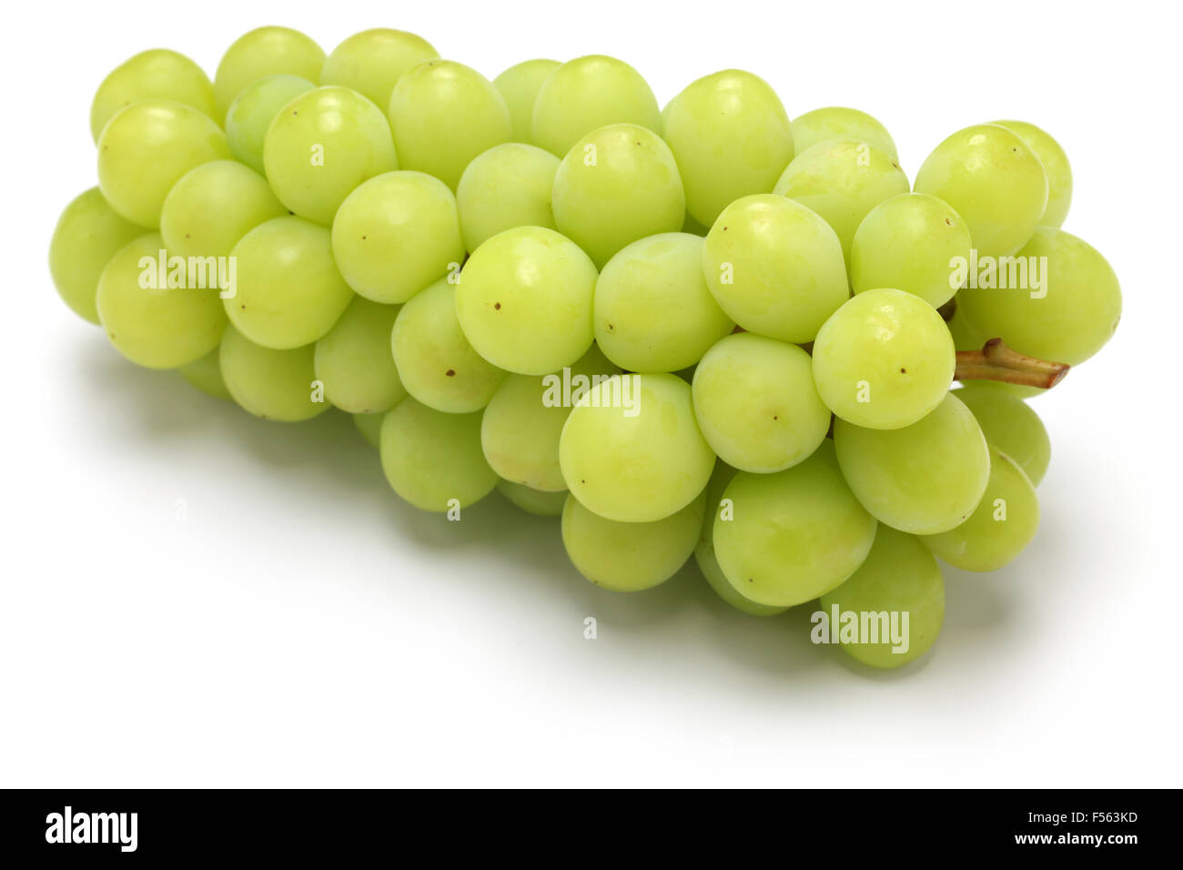 Shine muscat, giapponese nuova varietà uva isolati su sfondo bianco Foto Stock