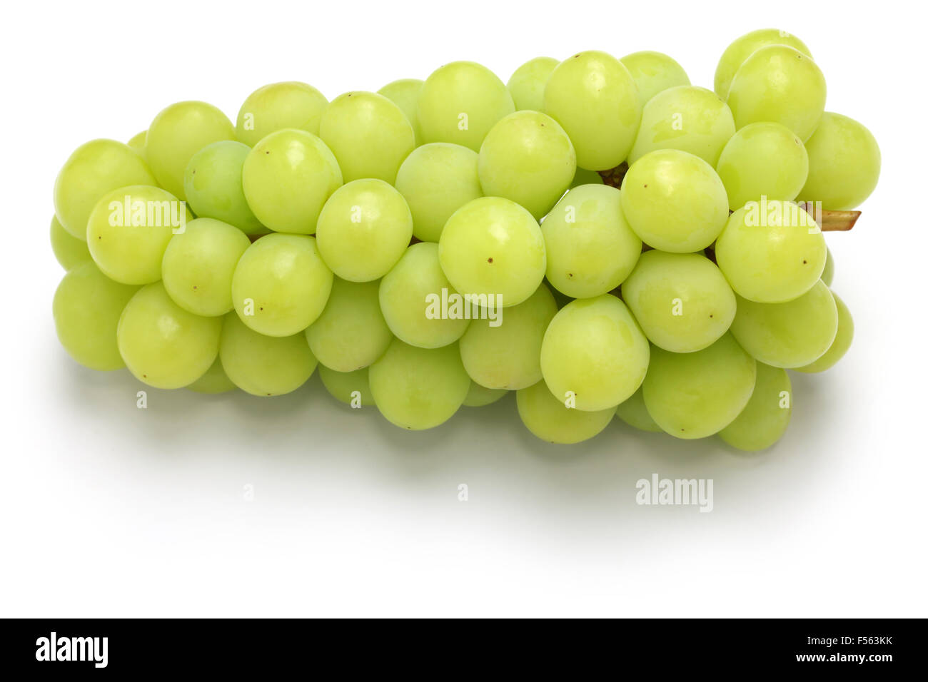 Shine muscat, giapponese nuova varietà uva isolati su sfondo bianco Foto Stock