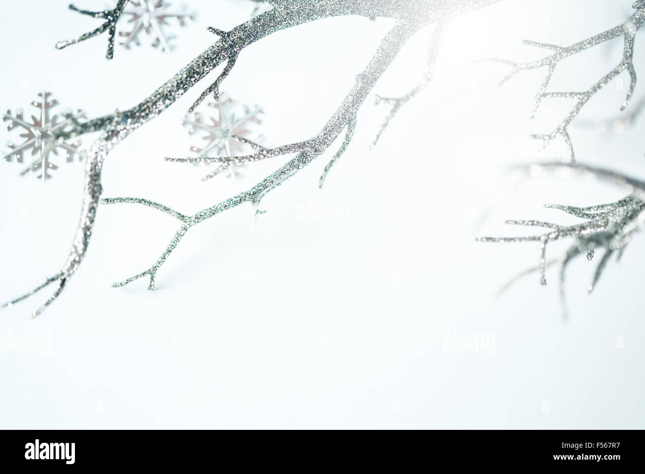 Natale biglietto di auguri. Ramo di argento metallico e i fiocchi di neve su sfondo chiaro. Messa a fuoco selettiva. Spazio per il testo. Foto Stock