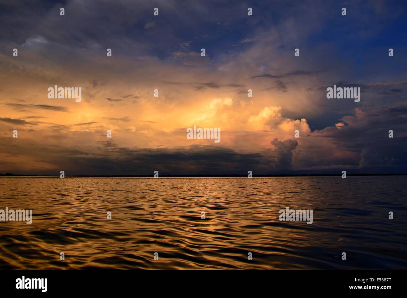 Rio delle Amazzoni! Foto Stock